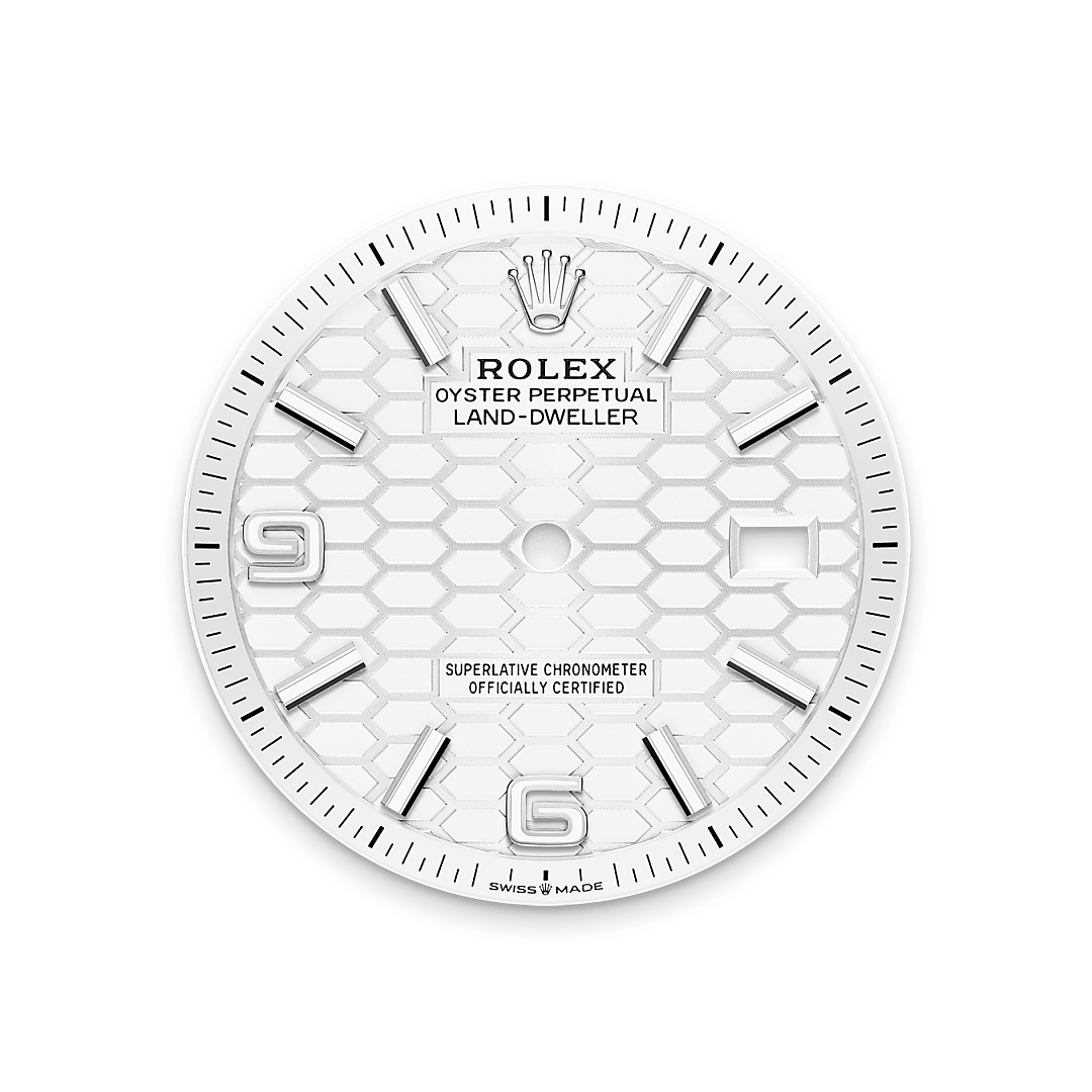 Rolex Land-Dweller 36, Rolesor weiß (Kombination aus Edelstahl Oystersteel und Weißgold), M127234-0001 – Goldschmiede Hofacker – Rolex Zifferblatt