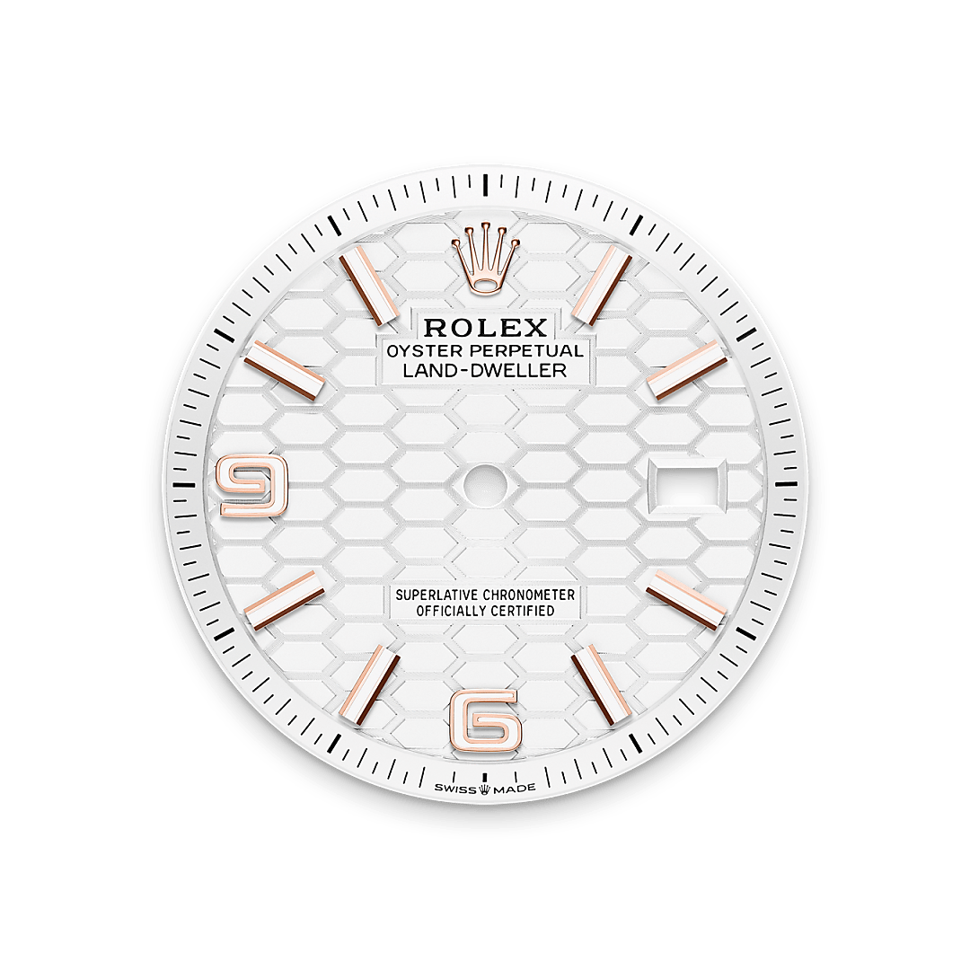 Rolex Land-Dweller 36, 18 Karat Everose-Gold, M127235-0001 – Goldschmiede Hofacker – Rolex Zifferblatt