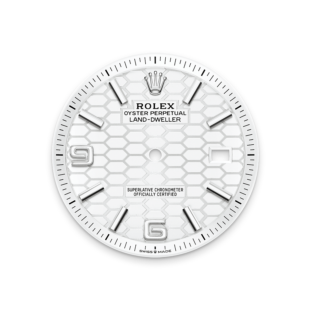 Rolex Land-Dweller 40, Rolesor weiß (Kombination aus Edelstahl Oystersteel und Weißgold), M127334-0001 – Goldschmiede Hofacker – Rolex Zifferblatt