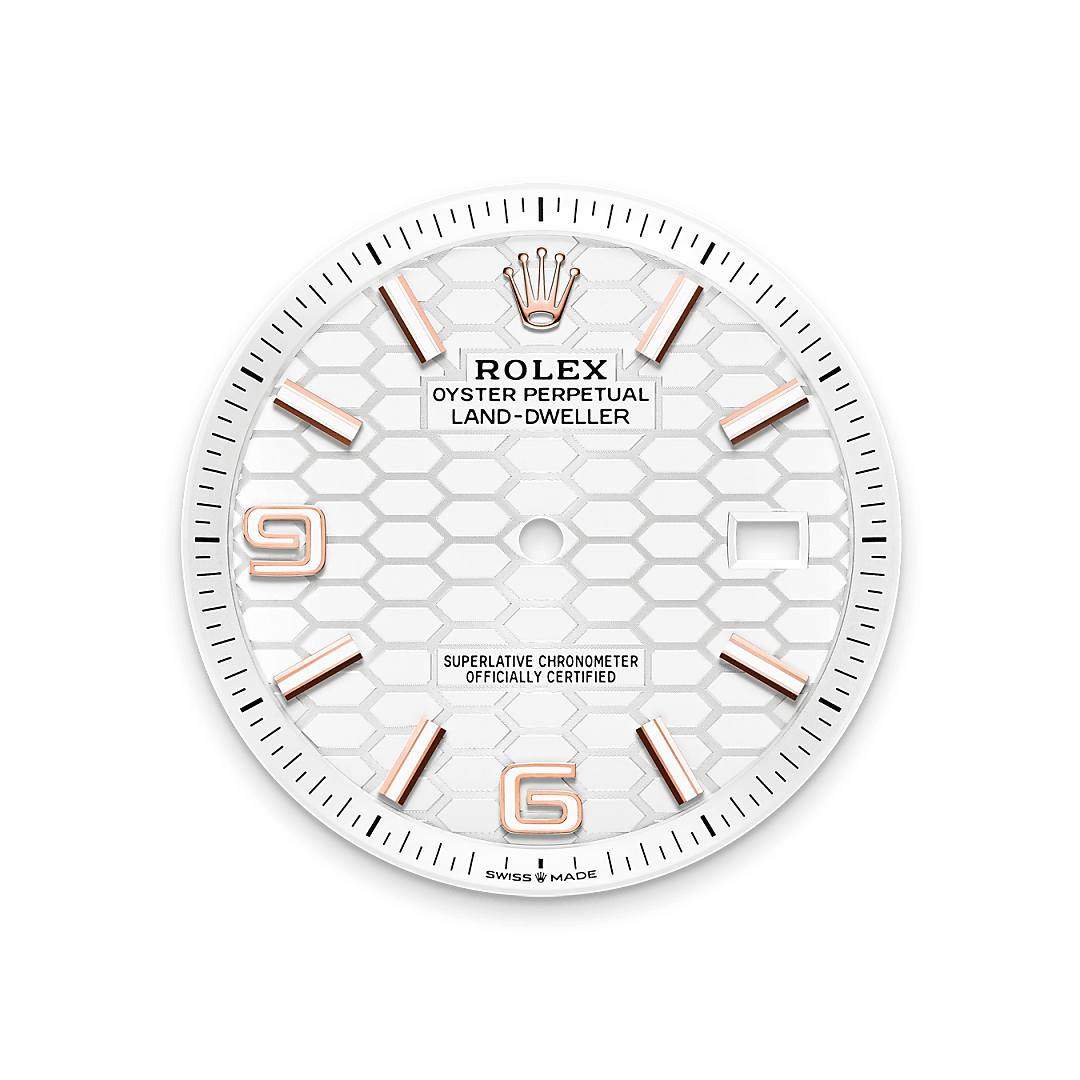 Rolex Land-Dweller 40, 18 Karat Everose-Gold, M127335-0001 – Goldschmiede Hofacker – Rolex Zifferblatt