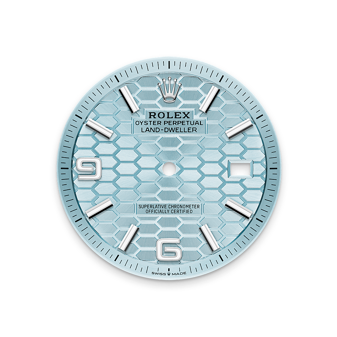 Rolex Land-Dweller 40, Platin, M127336-0001 – Goldschmiede Hofacker – Rolex Zifferblatt